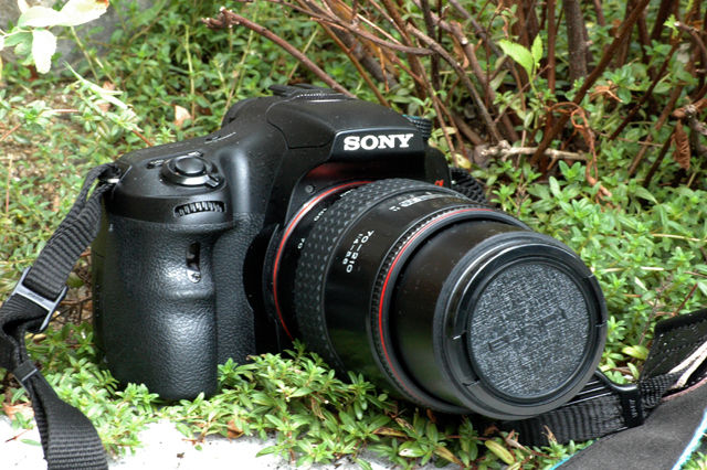 オールドデジカメ】Sony α65 - Tokina AF 70-210mm F4-5.6 : ヘンリー