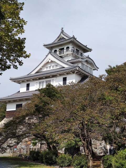 IMG_20201003_100057