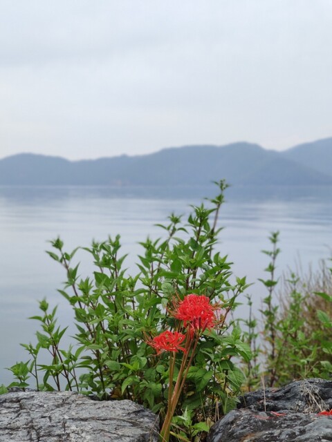 IMG_20201009_170148