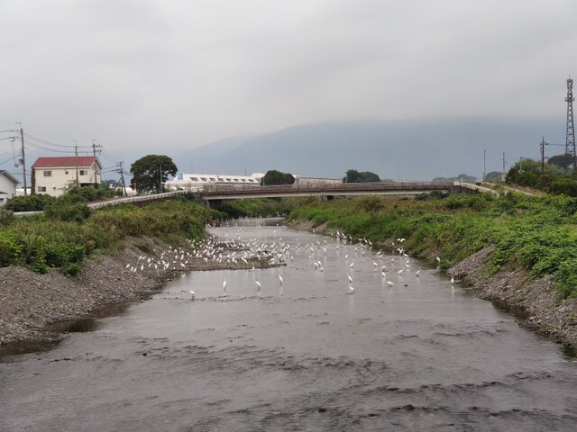 IMG_20201004_083650