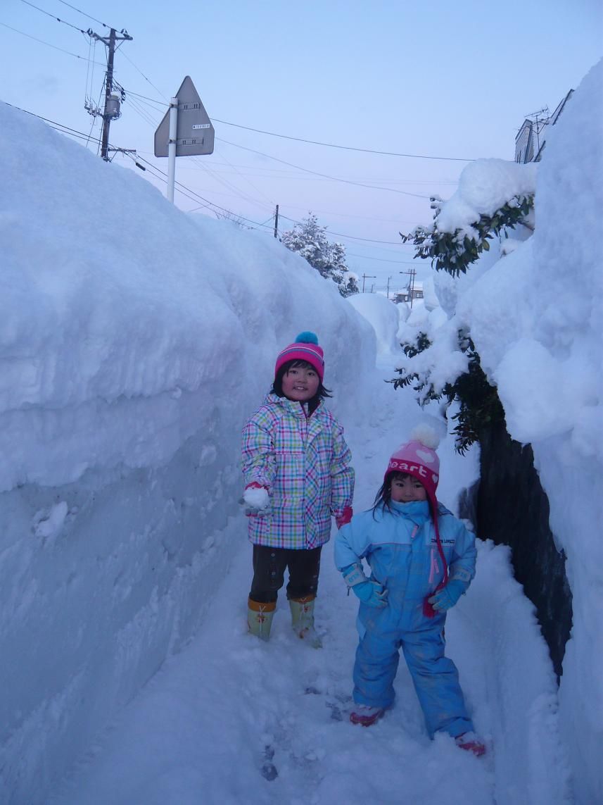 2月に入っても大雪です 長岡市青葉台 ぶろぐぱなぱな Ver 2月に入っても大雪です 長岡市青葉台 ぶろぐぱなぱな Ver