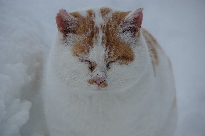 ¤·¤ÞÂÀϺ