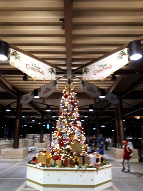 19-11-21-18-32-55-102_photo