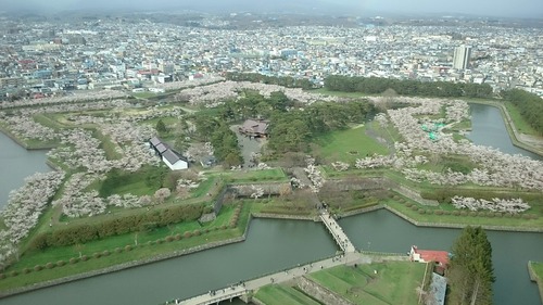 特別史跡 五稜郭 五稜郭タワー展望台