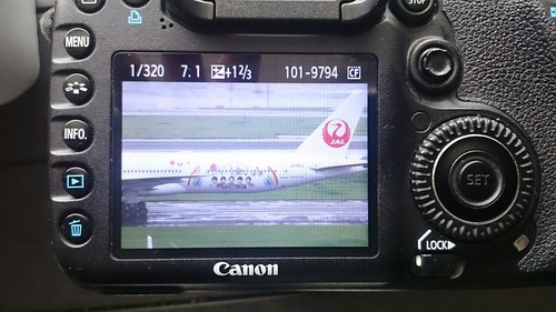 液晶モニター画像 JAL FLY to 2020 特別塗装機