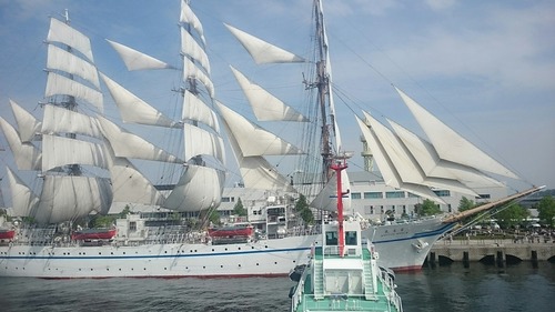 横浜開港祭 2代目「帆船日本丸」 セイルドリル 新港埠頭