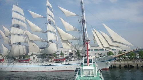 横浜開港祭 ２代目「帆船日本丸」 セイルドリル 新港埠頭