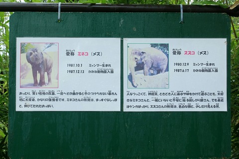 日立市 かみね動物園 ミネコ スズコ