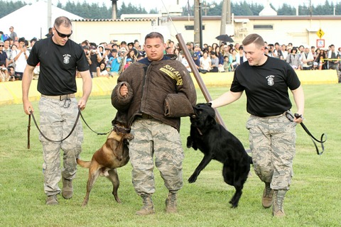 軍用警察犬 横田基地日米友好祭