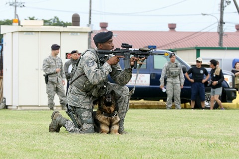 K9 軍用警察犬 デモンストレーション 横田基地日米友好祭