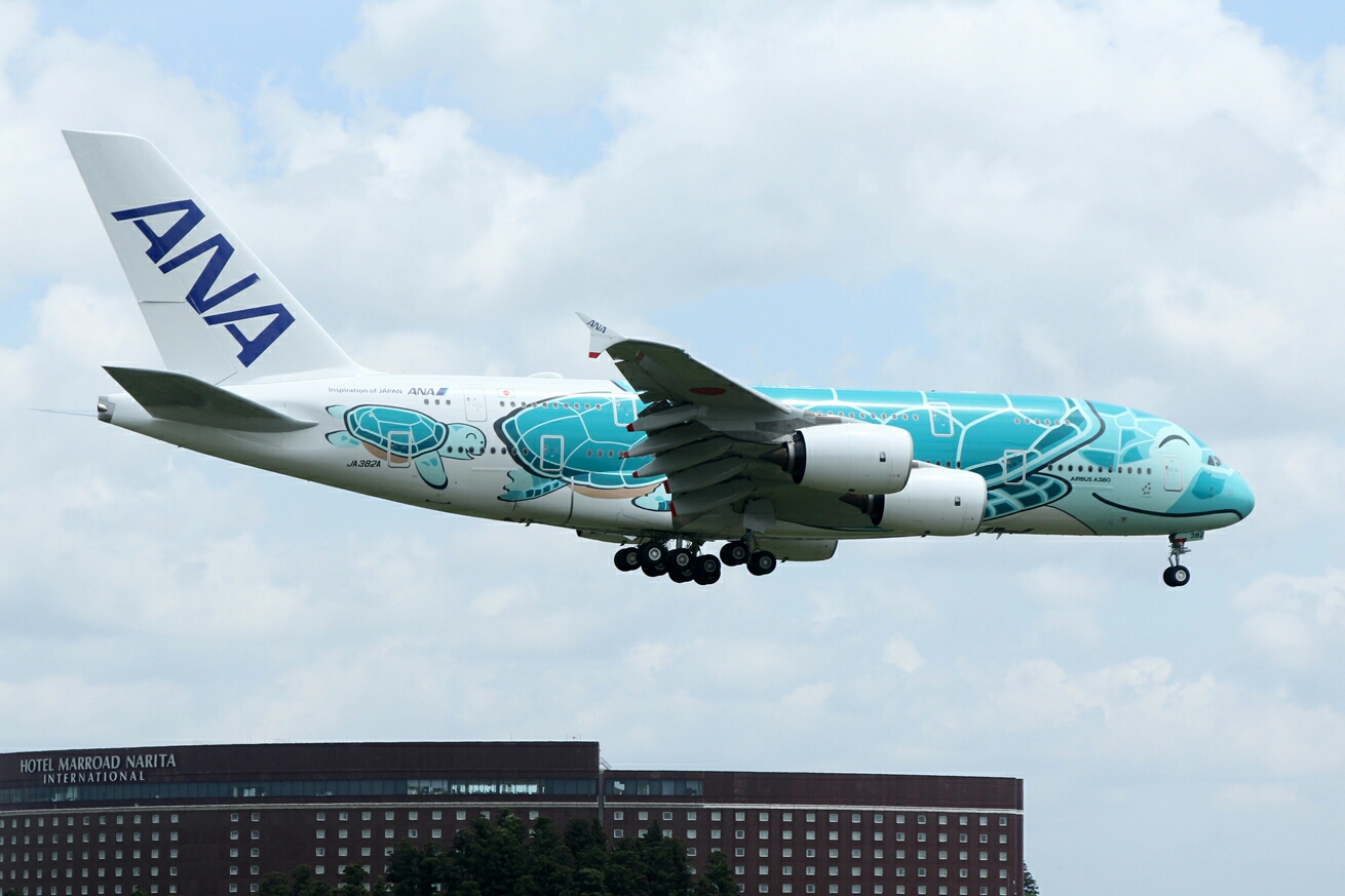 フライング ホヌ ぬいぐるみ Ana エアバス A380型機内販売品 Honu ぬいぐるみ を購入できなかった人からの注文受付 7月31日まで 5月24日 6月2日の搭乗対象