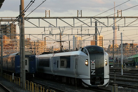 E259系 NEX 尾久駅