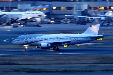 VP-CMJ A319-100 Aviation Link Company RJTT