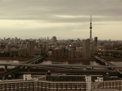 夕景 東京スカイツリー タワーホール船堀 船堀タワー展望室