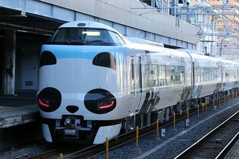 JR西日本 287系電車 特急くろしお24号 パンダくろしお 和歌山駅