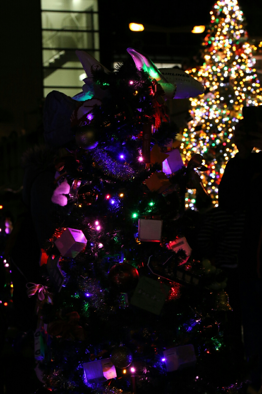 ナリタエアポート クリスマス フェスティバル２０１６ １２月１０日 成田空港 ぱんこの撮影日記 本館