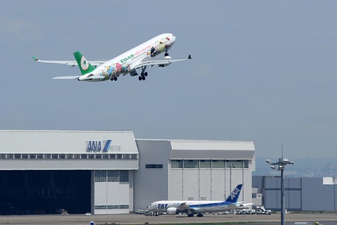 B-16333 A330-300 EVA Sanrio Characters Celebration Flight RJTT