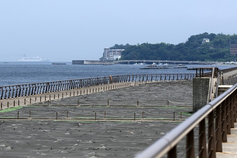 小笠原海運 新おがさわら丸 馬堀海岸