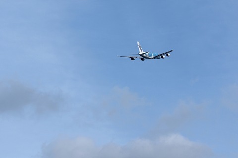 JA381A A380-800 ANA FLYING HONU RJAA