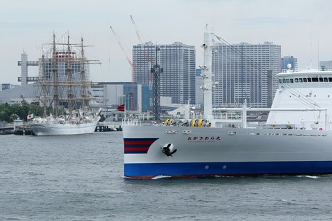 小笠原海運 新おがさわら丸 竹芝桟橋入港 晴海埠頭 海王丸