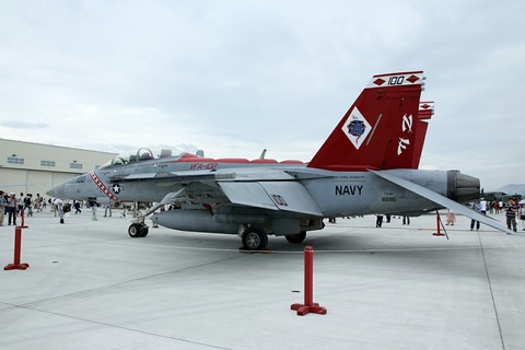 100 F/A-18F VFA-102 Diamondbacks RJOI