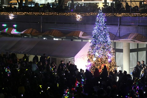 クリスマスフェスティバル2017 クリスマスツリー点灯式 成田空港