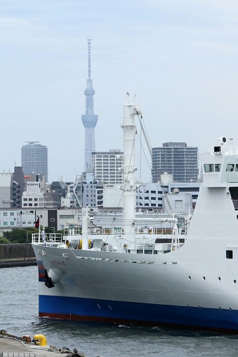 小笠原海運 新おがさわら丸 竹芝桟橋入港 東京スカイツリー