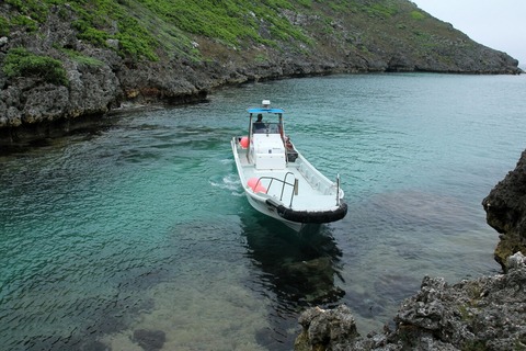 南島 別船マンボウ