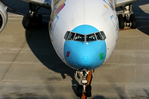 JA754A B777-300 ANA Pokemon Peace Jet RJTT
