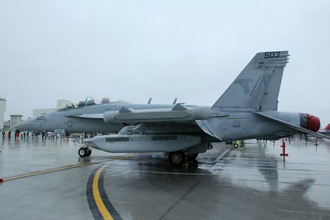 503 EA-18G Growler VAQ-141 Shadowhawks RJOI