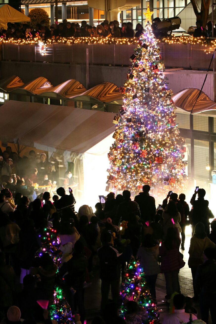 ナリタエアポート クリスマス フェスティバル2016 12月10日 成田空港 ぱんこの撮影日記 本館 ナリタエアポート クリスマス フェスティバル2016 12月10日 成田空港 ぱんこの撮影日記 本館