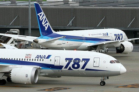 JA813A JA803A B787-8 ANA Two-Shot RJTT