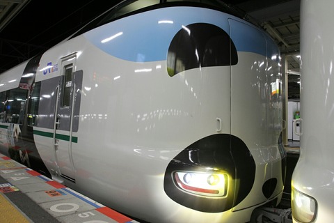 JR西日本 287系電車 パンダくろしお Smileアドベンチャートレイン