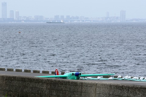 N31YM Zivko Edge 540 V3 室屋義秀 RED BULL AIR RACE CHIBA