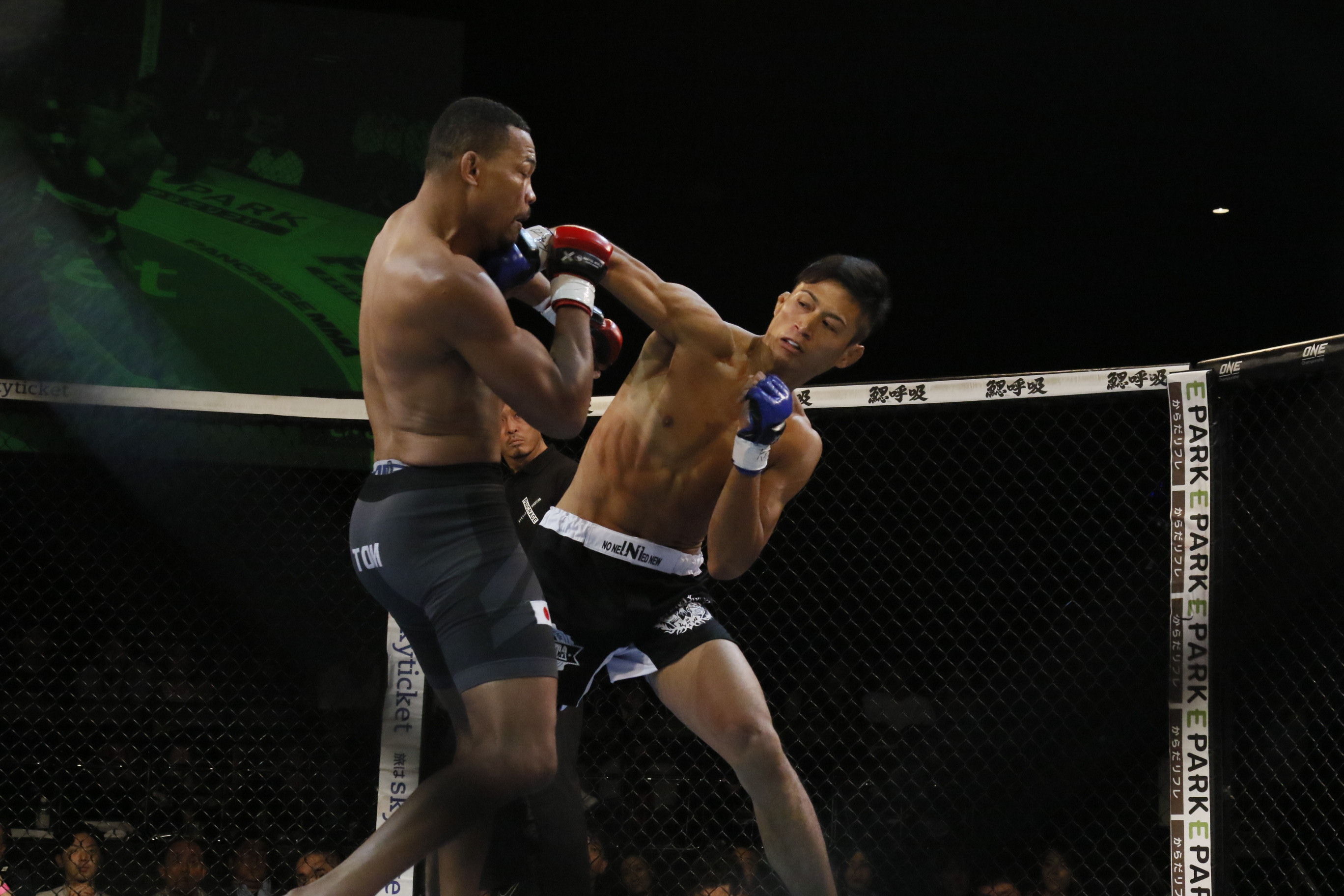 ヤン坊と藤野 顔面 恵実がget Pancraseニュース