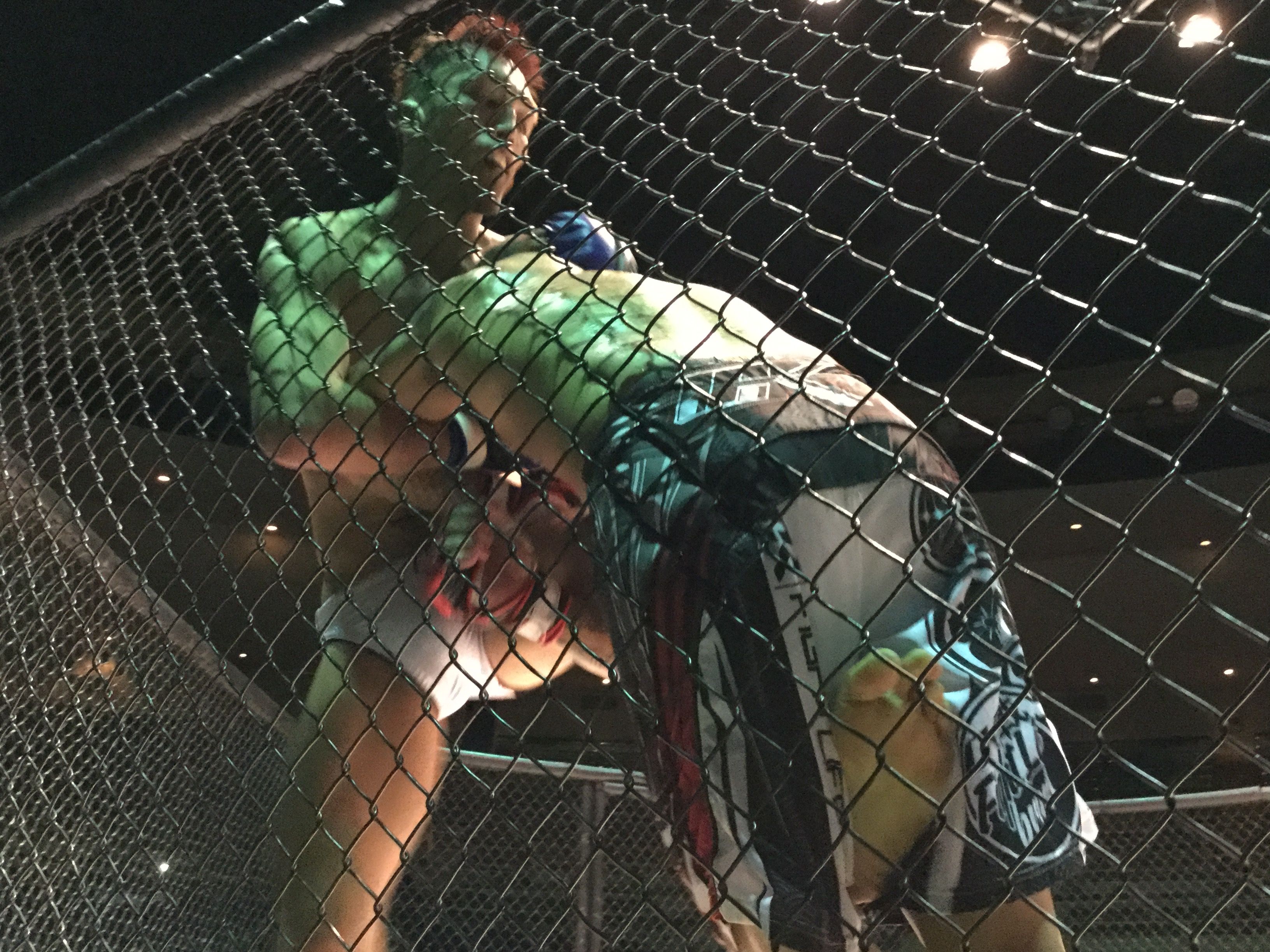 PANCRASEニュース勝ってくるぞと勇ましく。 livedoor Blog(ブログ) PANCRASEニュース勝ってくるぞと勇ましく。 livedoor Blog(ブログ)
