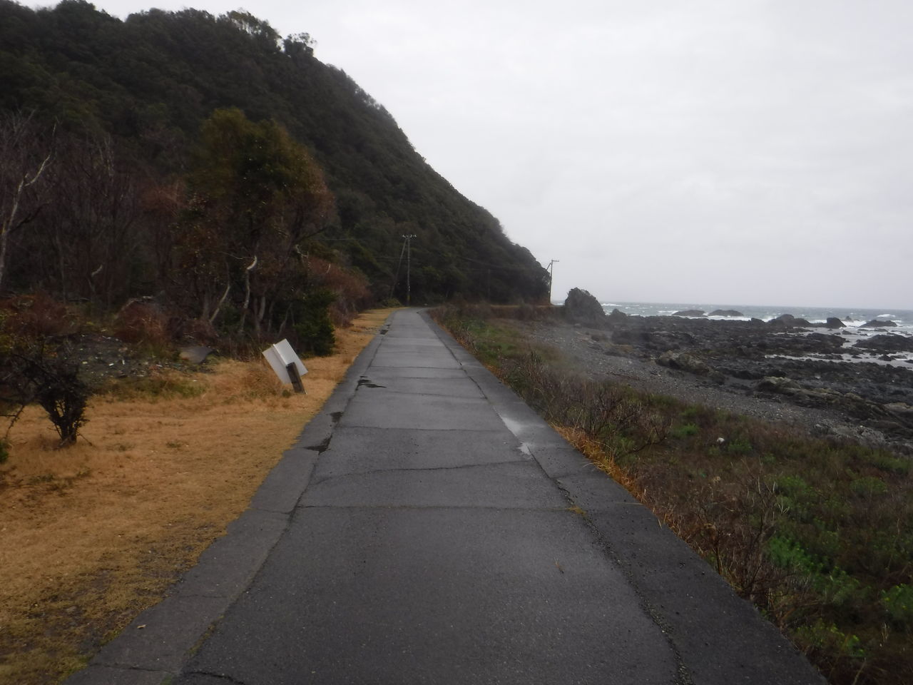荒船海岸のトンネルその1 南紀の山のどこかで