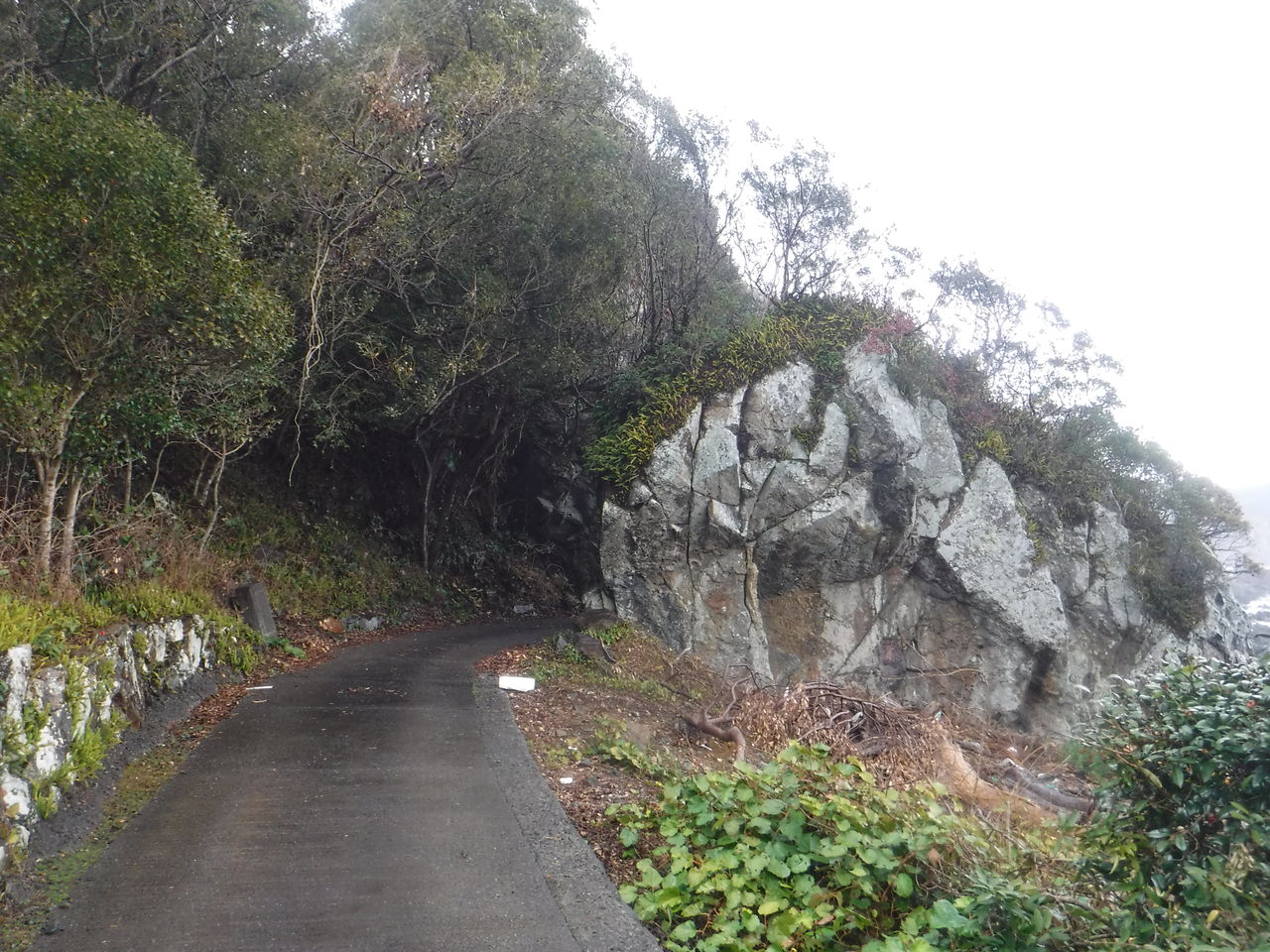 荒船海岸のトンネルその3 南紀の山のどこかで