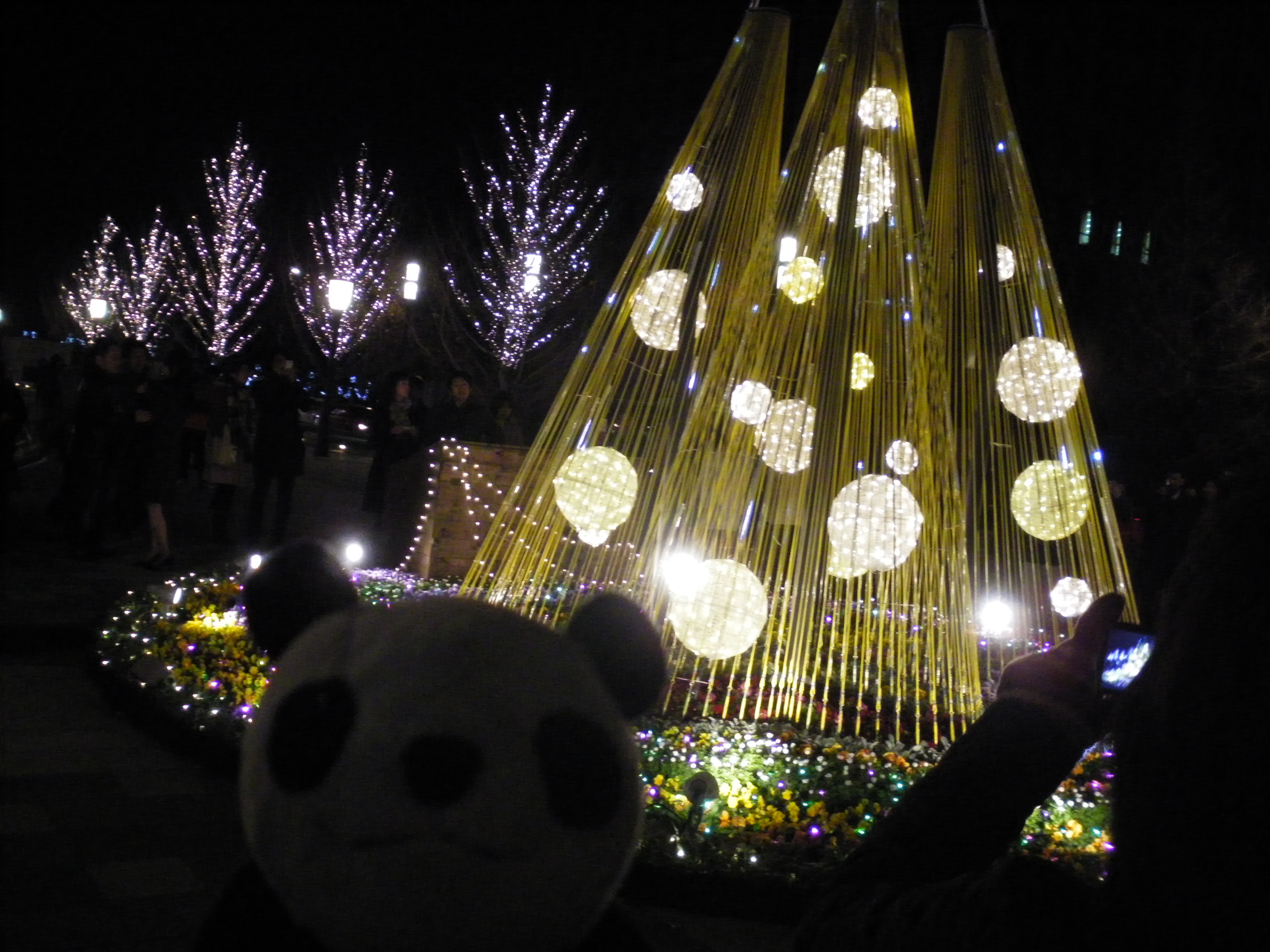 キラキラした街 Marunouchi Illumination せいしんパンダ Panda In Seishin Cho