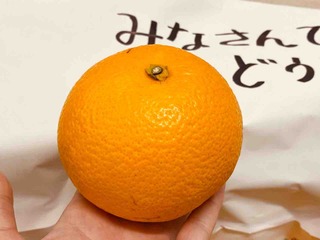FullSizeRender