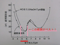 BlogPaint
