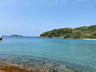 IMG_0558