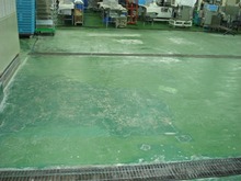 DSC04090