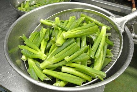 五十番食品 あととり娘の社長日記 白ねぎの青い部分を再利用しています 五十番食品 あととり娘の社長日記 白ねぎの青い部分を再利用しています
