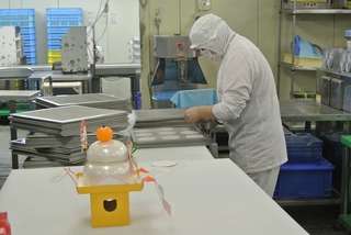 DSC_7286