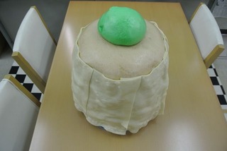 d9e81e67