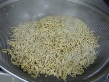 画像 356221