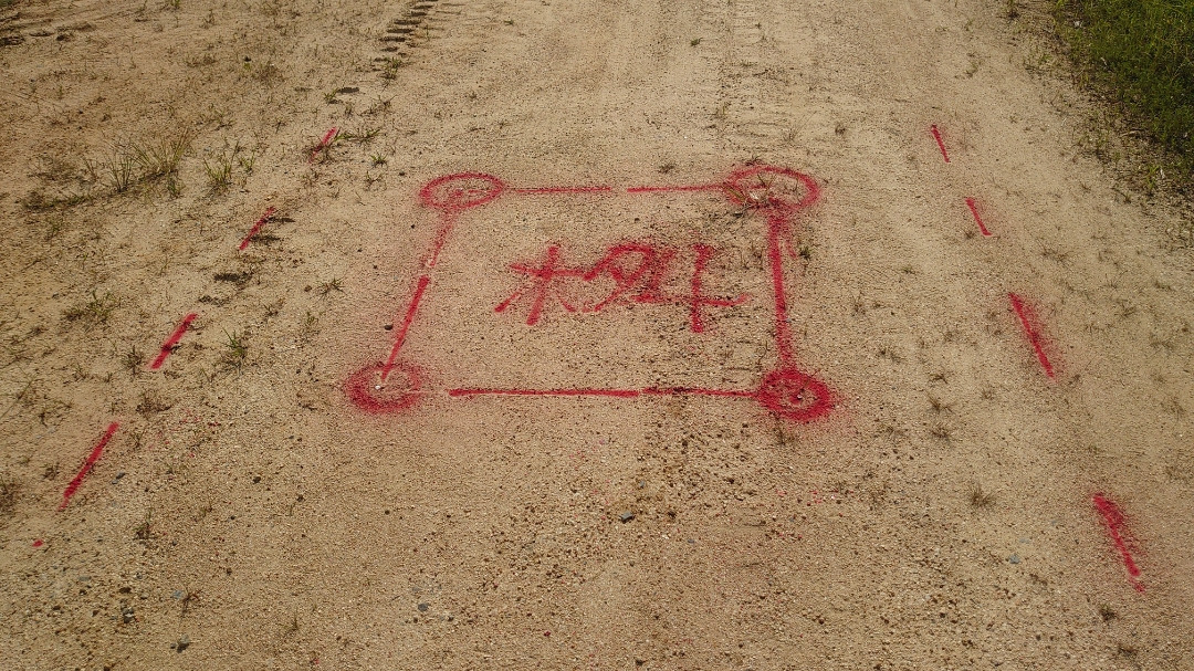 e739b256.jpg