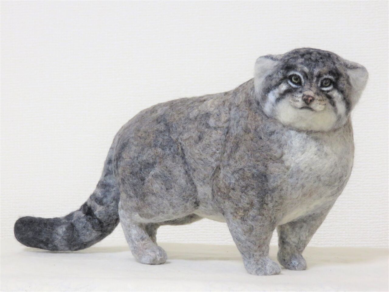 マヌルネコ : 羊毛の苑～生き物羊毛フェルト～