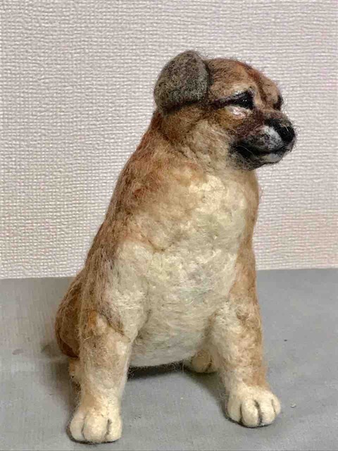 FullSizeRender
